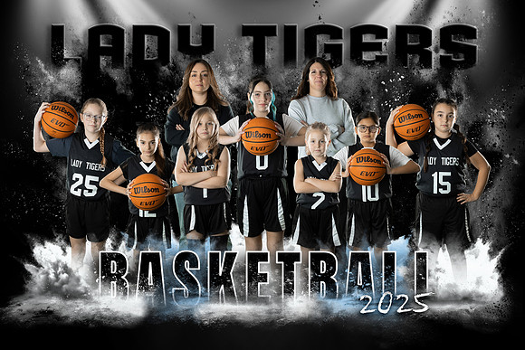 stamperladytigersteam copy