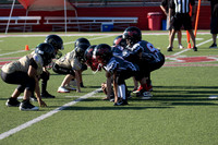 IMG_4521