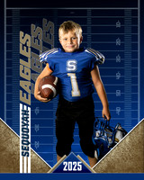 Price Football 2025