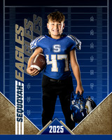 Harlow Football 2025