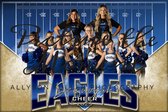 3rdgradeteamcheer
