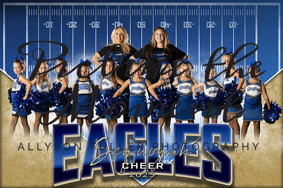2ndgradeteamcheer