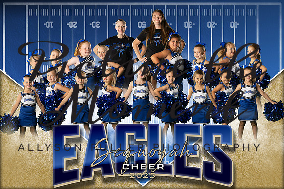 1stgradeteamcheer