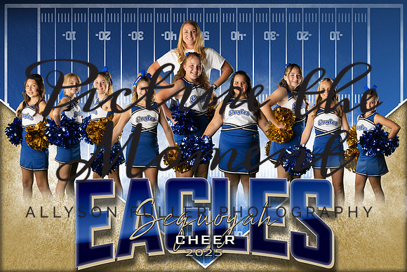 6thgradeteamcheer