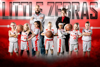 littlezebrasteam copy