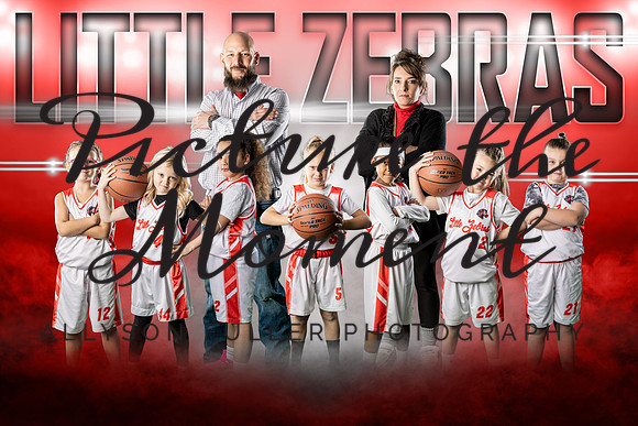 littlezebrasteam copy