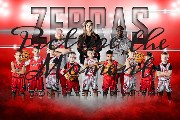 zebras-hall copy