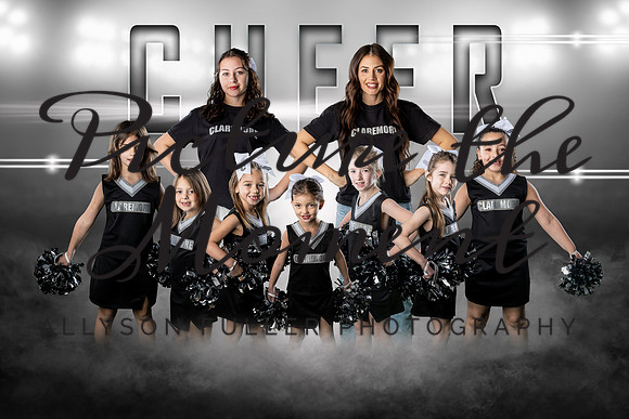 cheerteamlittles copy