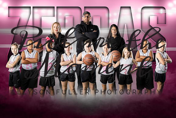 zebras-shueyteam copy