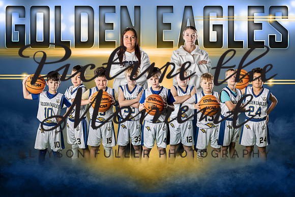 goldeneagles copy