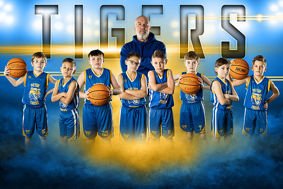 tigers-stafford copy