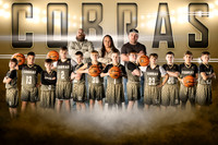 cobras-vonree copy