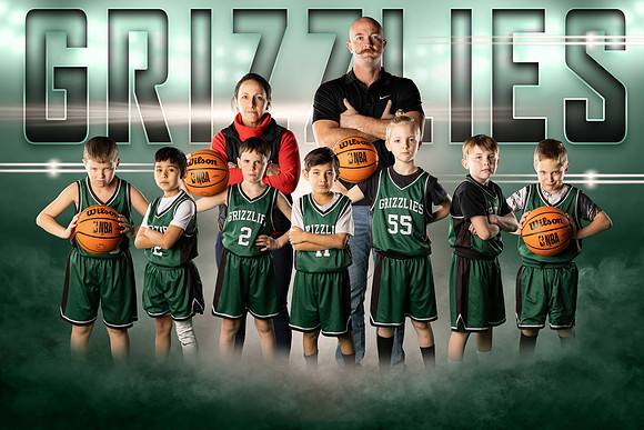 grizzlies copy