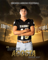 bryce copy
