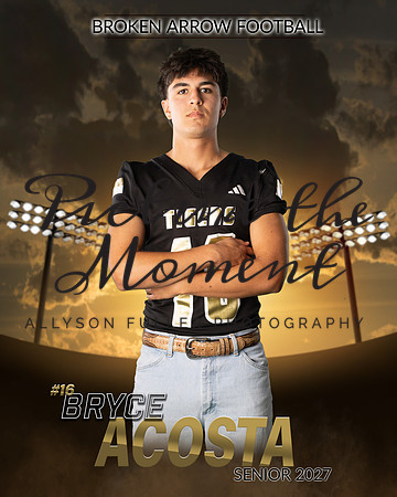 bryce copy