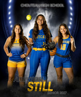 Chouteau Banner proofs