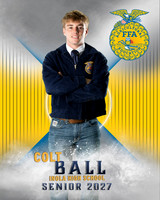 colt copy