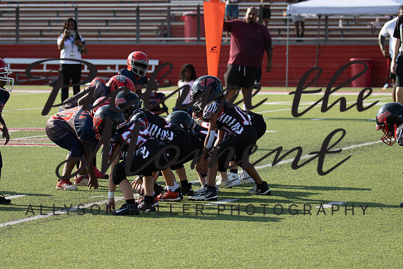 IMG_9344