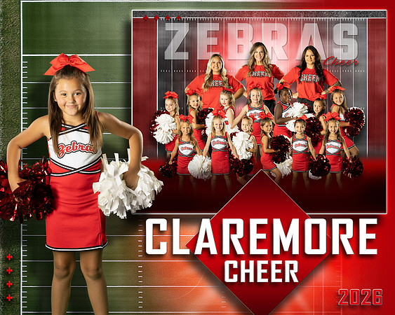 2010collage
