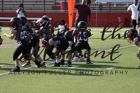 IMG_9347