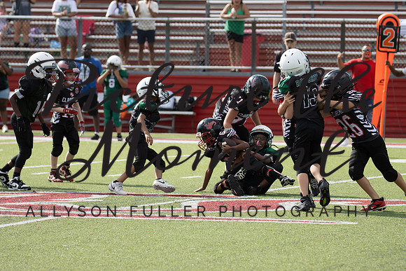 IMG_9653