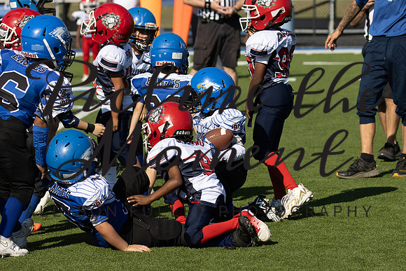 IMG_5798