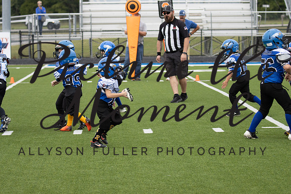 IMG_7029
