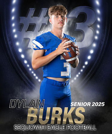dylan3