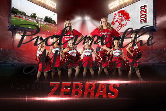 cheer1stwhiteteam copy