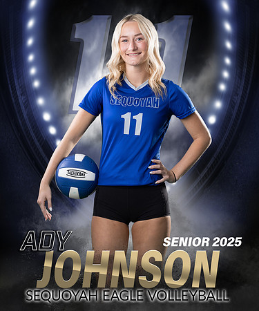 ady11