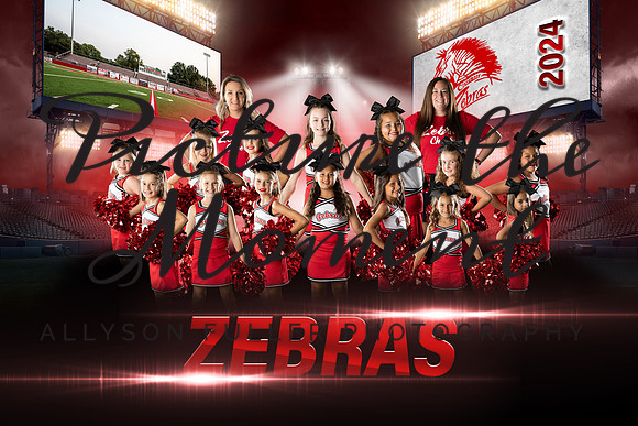 cheer4thredteam copy