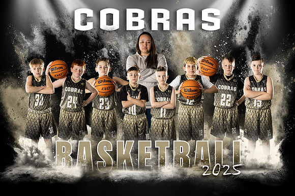 vonreecobrasteam copy