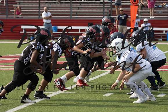 IMG_8240