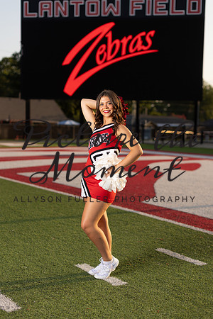 4C9A1215