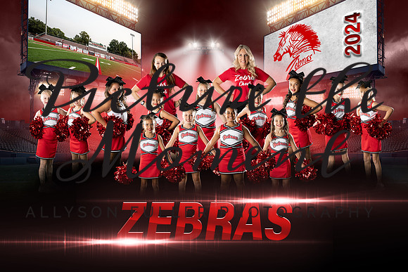 cheer4thwhiteteam copy