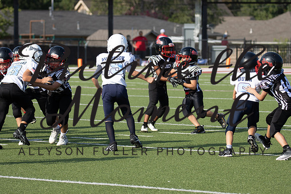 IMG_8158